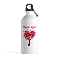 Stainless Steel "Choose Love!" Water Bottle w/carabiner, 14oz