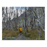 Hikers in Silver Forest, Torres del Paine, Patagonia.  Jigsaw Puzzle (252-Piece)